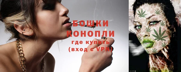 твердый Михайловск