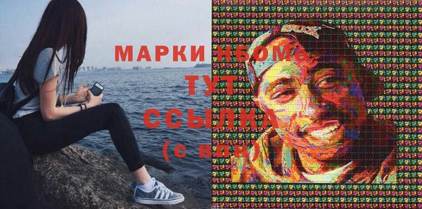 твердый Михайловск