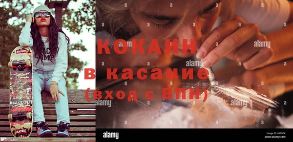 СК Михайлов