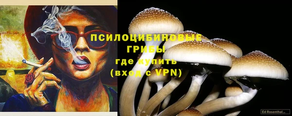 твердый Михайловск